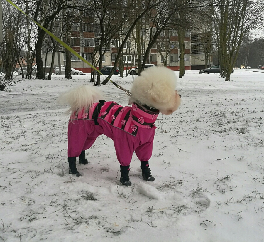 Ekskluzīvs suņu apģērbs - lietusmētelis,kombinezons ar zābakiem, M